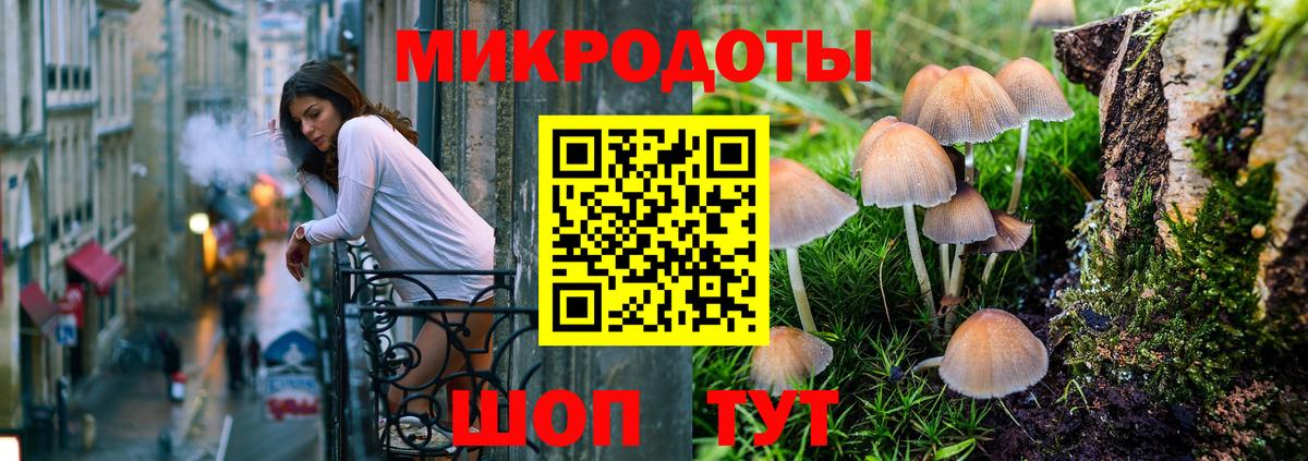 Галлюциногенные грибы Psilocybine cubensis Кудымкар